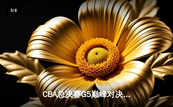 CBA总决赛G5巅峰对决：辽宁逆转广东，赵继伟三双铸就传奇 - 3