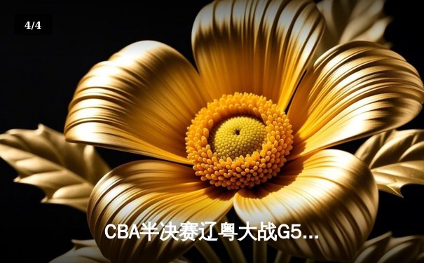CBA半决赛辽粤大战G5惊现双加时 张镇麟35分助辽宁逆转广东晋级总决赛 - 4